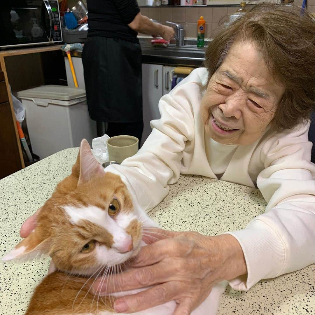 Kachimo Yoshimatsuさんのインスタグラム写真 - (Kachimo YoshimatsuInstagram)「おいなりちゃん、実習中。 Oinari-chan is in training.  #うちの猫ら #oinari #バーバ #バーバと猫 #バーバ見守り隊 #猫 #ねこ #cat #ネコ #catstagram #ネコ部 http://kachimo.exblog.jp」10月26日 9時47分 - kachimo