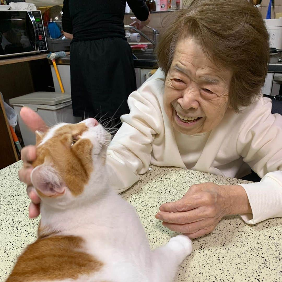 Kachimo Yoshimatsuさんのインスタグラム写真 - (Kachimo YoshimatsuInstagram)「おいなりちゃん、実習中。 Oinari-chan is in training.  #うちの猫ら #oinari #バーバ #バーバと猫 #バーバ見守り隊 #猫 #ねこ #cat #ネコ #catstagram #ネコ部 http://kachimo.exblog.jp」10月26日 9時47分 - kachimo