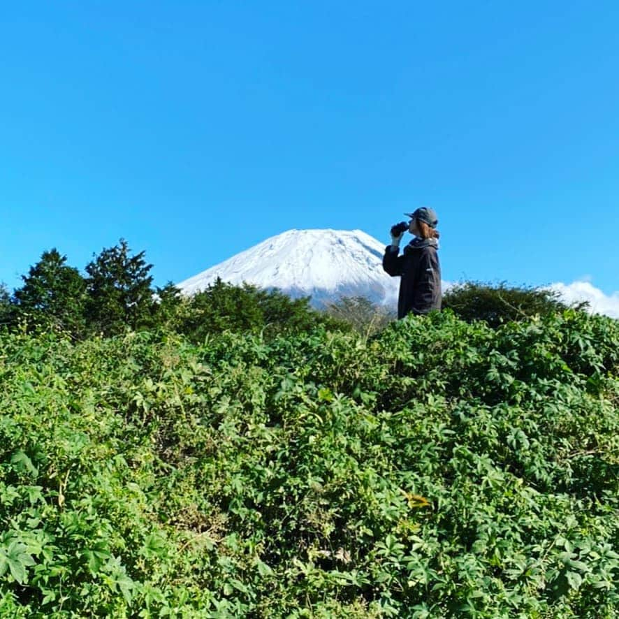 加藤ツバキさんのインスタグラム写真 - (加藤ツバキInstagram)「富士山1合目で焚き火の旅🗻山合いのポツンとハウスでロケーション最高！今回2泊で薪100kg+スウェーデントーチ全部消費😂トーチも最後は焚き火台にイン！燃やしまくりです。 大きい焚き火台だと薪割りしないでガンガン燃やせるから楽ちーん♪ お約束の、写真だと思ったら動画だったわ～も撮れました 笑 メスティンで新米炊いたらおいしすぎて！いっぱい炊けるようにラージメスティンも買おうかな😋 山なんで夜は冷え込むけど私の焚き火用制服ワークマンのヤッケ&あったかパンツのおかげで超快適👍️さすがワークマン！頼れる相棒！ #焚き火 #富士山 #メスティン #新米 #ワークマン」10月26日 10時05分 - katotsuba_desu