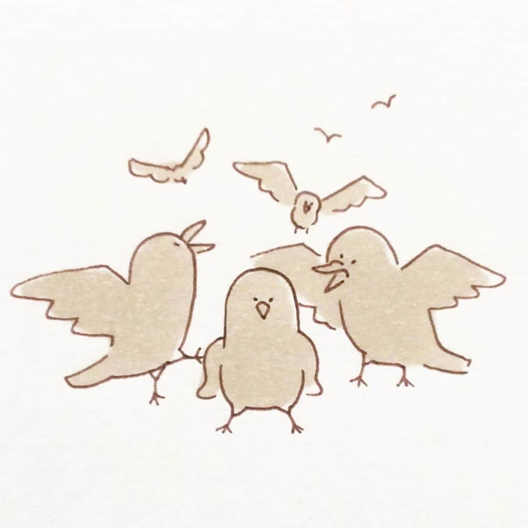カモのインスタグラム