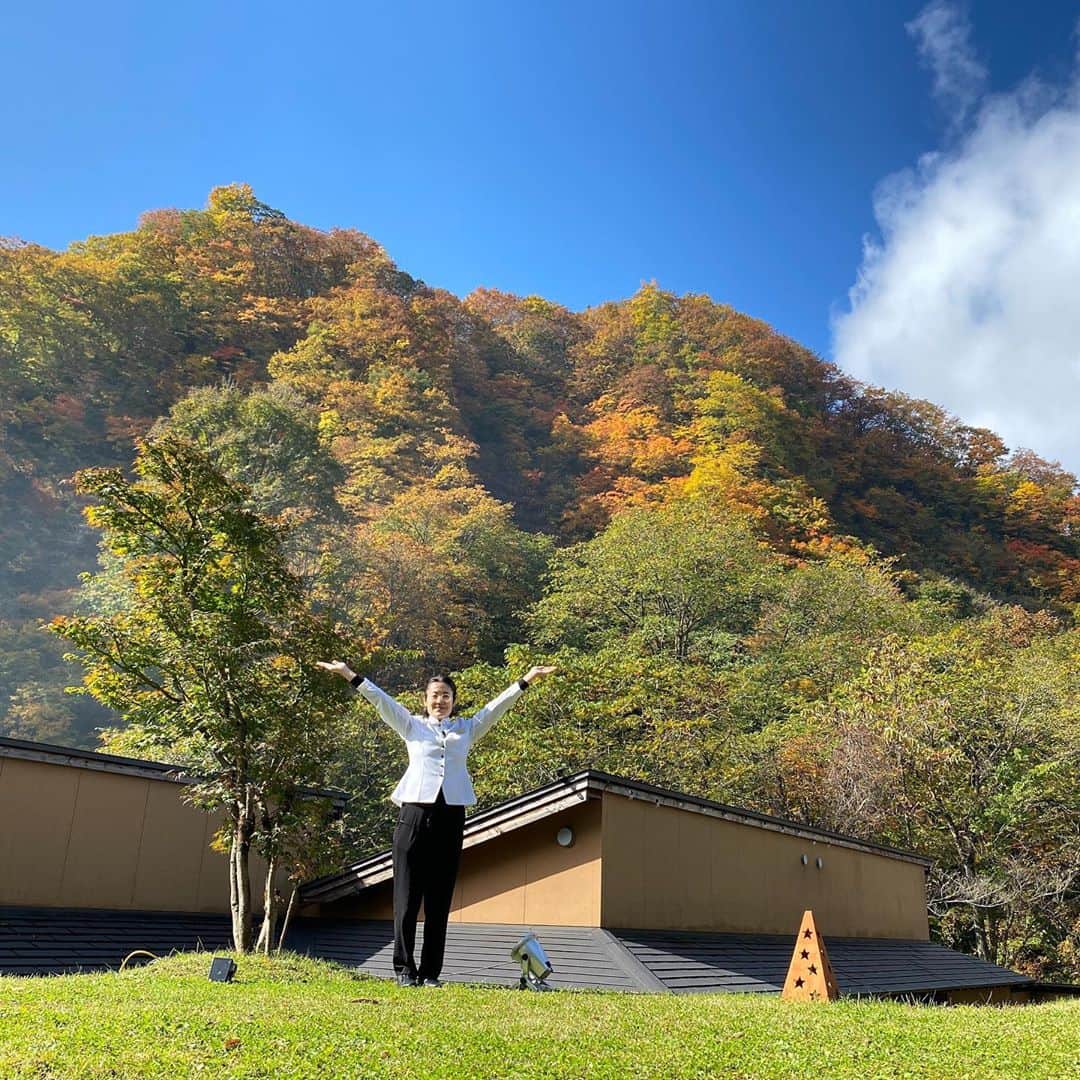 山人のグルメインスタ