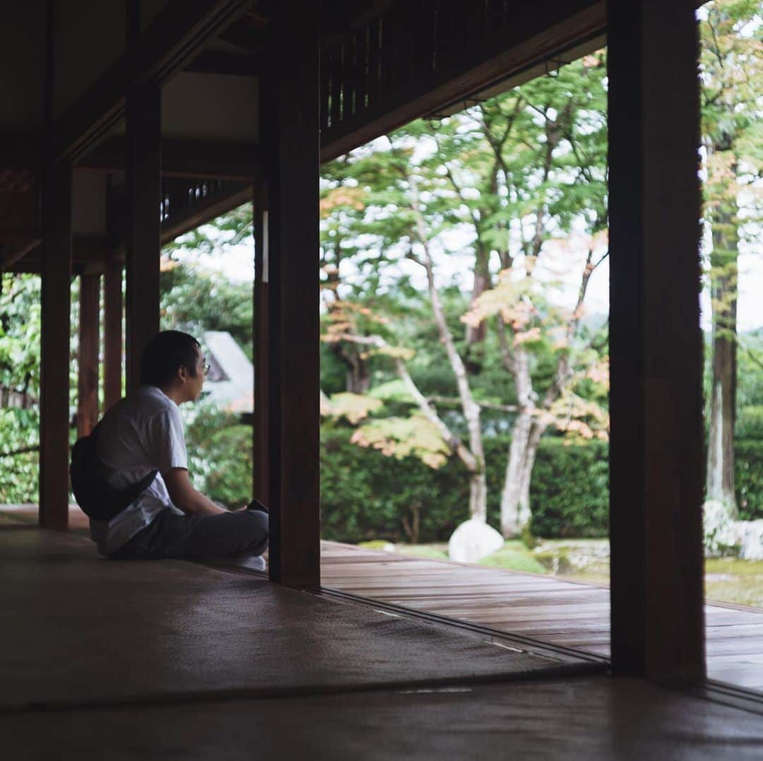 市川渚さんのインスタグラム写真 - (市川渚Instagram)「📍Entsuji Temple﻿, Kyoto ﻿ ﻿ 京都に行くと欠かさず伺う、圓通寺。アクセスがあまり良くないからか、人も少なく、開放感あふれる借景庭園でぼんやりと過ごす贅沢な時間がたまらないのだ。来月には紅葉に包まれ、また違う景色を堪能させてくれるであろう🍁﻿ ﻿ #entsuji#圓通寺#円通寺#entsujitemple#a7iii#leicasummicron5cm」10月26日 10時28分 - nagiko