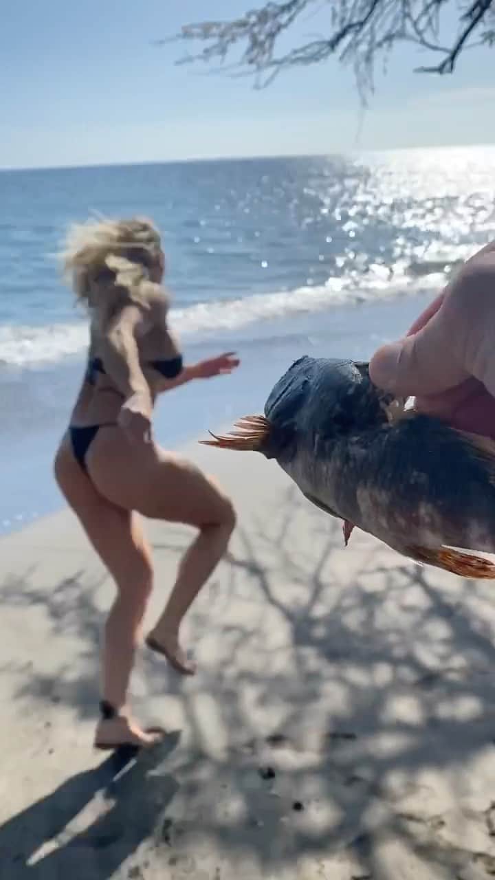 Lauren Drain Kaganのインスタグラム：「I hate him for these (@theiobot)😡 I dropped half my meal prep & did unnecessary cardio😤」