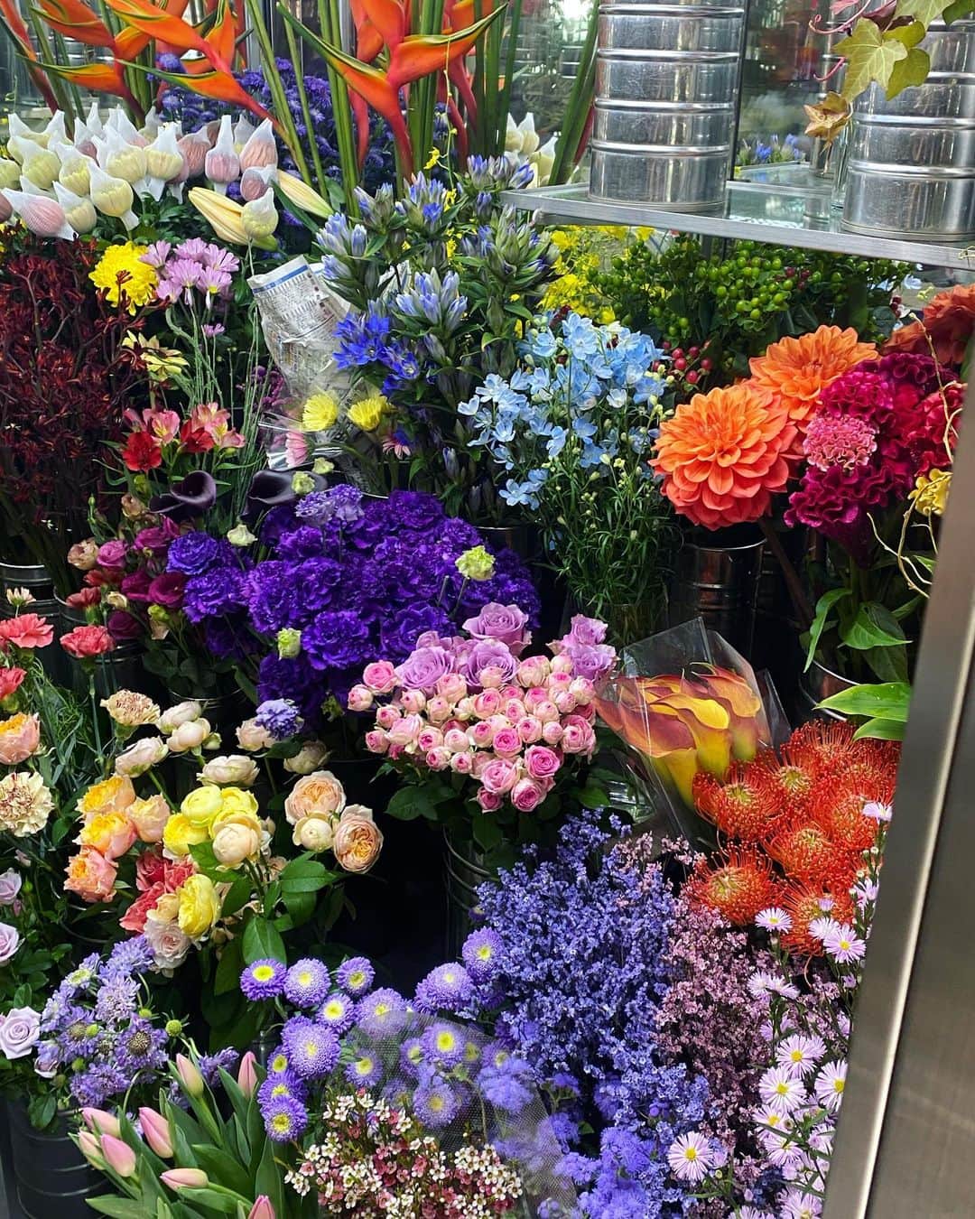 MILLE ECLAT.のグルメインスタ