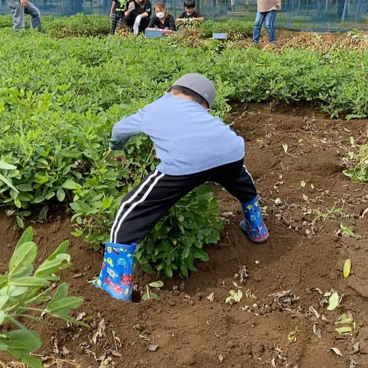 白田久子のインスタグラム