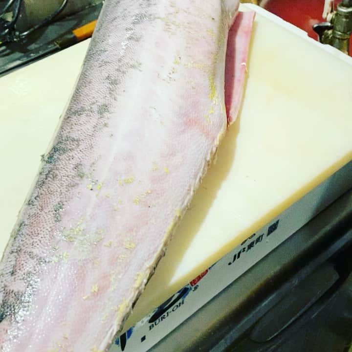 のインスタグラム：「シイラおろしてみました。 刺身で食べたらさっぱりしているヒラマサみたいでフライにしてみたらふあふぁで美味しい！ 宇田川町の魚金ではランチで牡蠣とのミックスフライにしてみました！  お昼のお食事は是非魚金で  仕入部　片之坂 #まぐろ#新橋#玉子#居酒屋#銀座#京橋#マグロ#海鮮丼#刺身#吉祥寺#オイスター#秋#ビール#ひやおろし#刺身盛り合わせ#宝石#渋谷#魚好きと繋がりたい #レモンサワー#台風#神楽坂#横浜グルメ#飲酒タグラム#たまご#日本酒好きな人と繋がりたい #クラフトビール#お寿司#おでん#yummy」