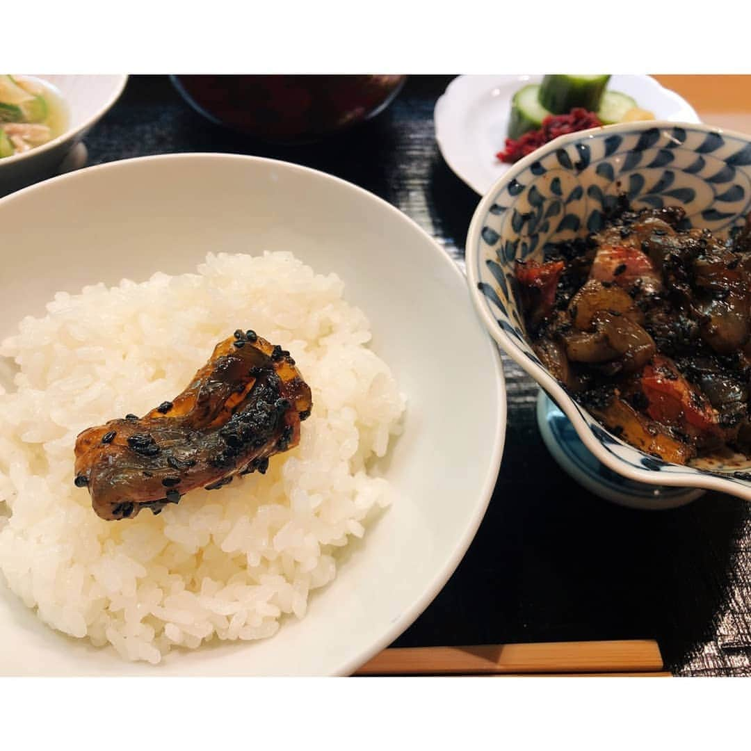 垰智子さんのインスタグラム写真 - (垰智子Instagram)「先日、@ginza_yamaji の名物 黒胡麻の鯛茶漬けを頂いてきたよ🐟 . 瀬戸内海の天然鯛を毎日、空輸で運んで来たものが食べれるからとっても美味しいの♡ . そのぷりぷりの鯛を山路特製の半年寝かせた黒胡麻だれで食べるんだけど、それがまた美味しい😍 . 半分は黒胡麻ダレで食べて、半分はお茶漬けにして食べれるから1度で2度お得✨ . 2010年から16年まで連続でミシュランに選ばれてるだけあって、煮物が本当に優しい味で美味しかったなぁ💕☺ . 今度はゆっくりと夜行きたいな♪ . #ginzayamaji #山路 #ぎんざ山路 #割烹 #food #ginza #銀座 #foodstagram #和食 #鯛茶漬け  #lunch #日本料理 #japanesefood  #美食」10月26日 11時05分 - taotao_tomo