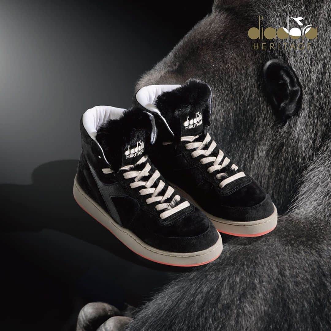 のインスタグラム：「. 【diadora NEW PRODUCT INFORMATION】 . "mi basket gorilla" . ゴリラがモチーフのanimal  packカプセルコレクションとしてイタリアのヴェローナ近くにある有名な動物園であるParco Natura Vivaとパートナーシップを開始します。 環境保護と動植物の保全について特に若者の間で認識を高め啓発するためにdiadoraとParco Natura  Vivaとの間で考案されたワークショップ「Laboratorio della Natura」(The Nature Workshop)を支援することを目的とし収益の一部で動物園をサポートします。 ベースのプロダクトは80年代にミラノバスケットボールチームが使用していた"mi basket" ハンドメイドアパレルブランドLeonardo Colacicco 通称 「LC23」とのコラボアイテム。 Made in Italy.  . #diadora #diadoraheritage #mibasket #madeinitaly #makeitbright  #sneakers #ディアドラ #ディアドラヘリテージ #スニーカー」