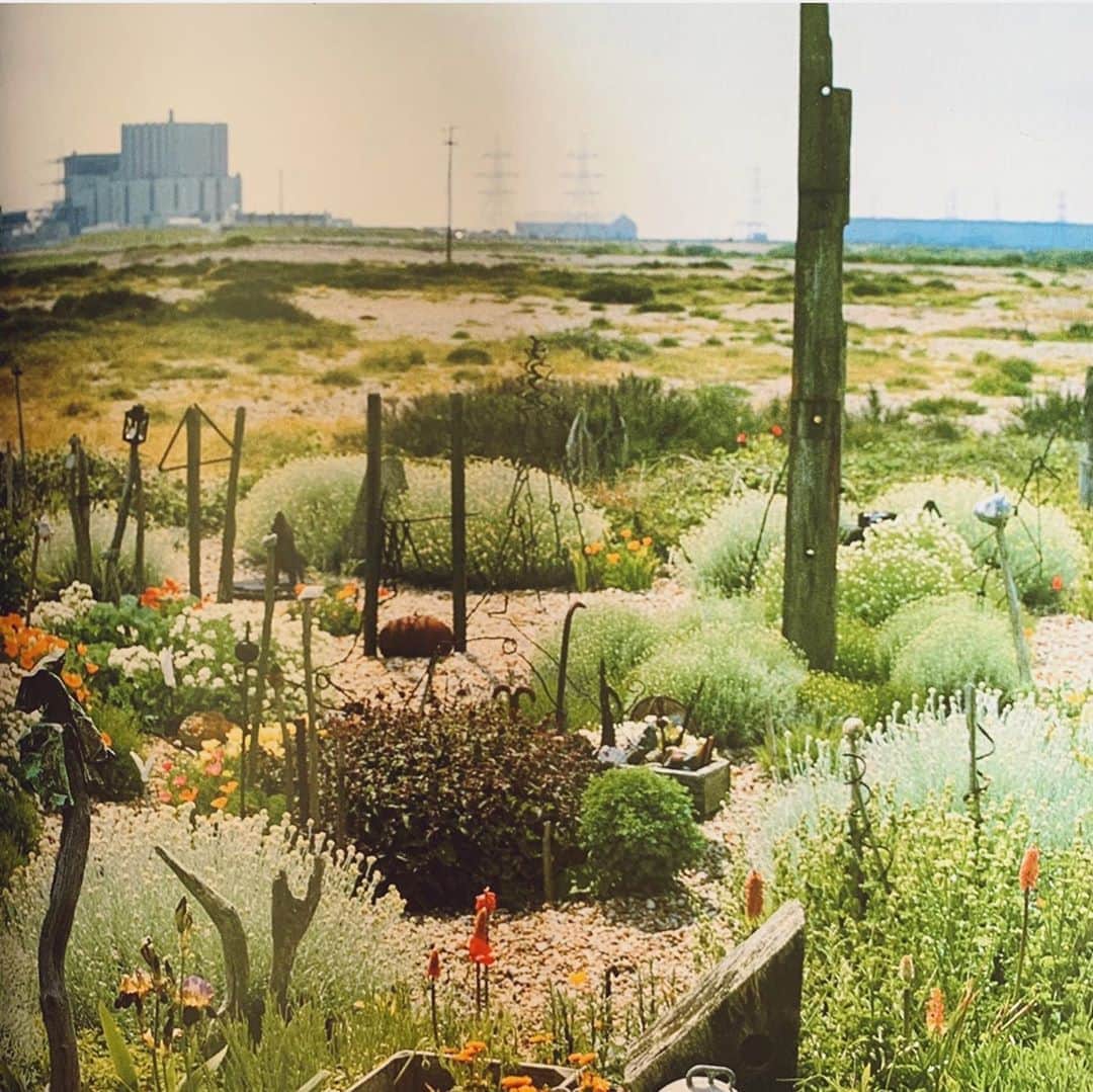 OKAさんのインスタグラム写真 - (OKAInstagram)「デレク・ジャーマンが原発からほど遠くない荒涼とした地に創り上げた自分のための小さな楽園。  #DerekJarman #楽園は庭に出没する」10月26日 11時39分 - ytrpics