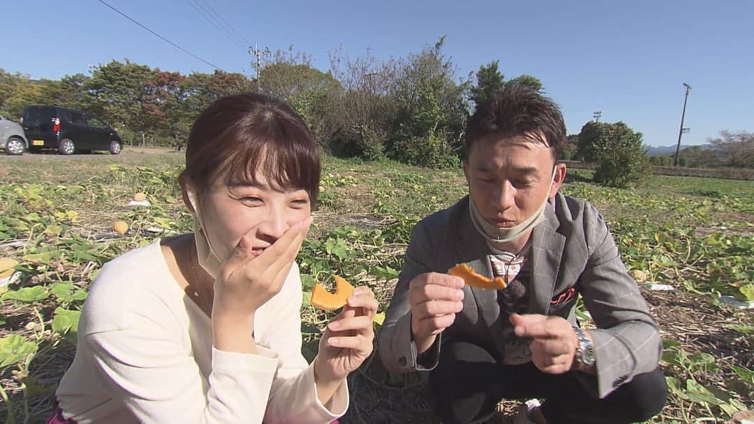 テレビ西日本「ももち浜ストア」さんのインスタグラム写真 - (テレビ西日本「ももち浜ストア」Instagram)「・ そば業界でのアキラくんの風当たりの強さが 発覚した○○部でしたが、いかがだったでしょう か？浜﨑アナの意外な才能も発覚しましたが、 スタッフ的にはおいしくないと思ったのは、 ここだけの話🤫次回の○○部での活躍？に期待 です🥴   ◆フクオカQ 「ハロウィーンに食べたい福岡のかぼちゃ」 ハロウィーン👻といえばかぼちゃということで 今回は福岡のかぼちゃ🎃に注目！クイズ形式で その魅力をお届けしました。   ①キルフェボン福岡 旬のかぼちゃを使った期間限定タルトを紹介。 【住所】福岡市中央区天神2-4-11 【電話】092-738-3370 【営業時間】11:00～19:00 【定休日】なし 北海道みよい農園産くりりんかぼちゃのタルト 760円+税 ※10/31までの限定販売   ②パティスリークラシック🍰 さつまいもとかぼちゃが所狭しと敷き詰められた タルトを紹介。   【住所】筑後市西牟田3744-2 【電話】0942-27-9110 【営業時間】10:00～19:00 【定休日】なし さつまいもとかぼちゃのタルト 390円+税 シューケット(5個) 250円+税   ③うきはの宝 番組で紹介したまんぺいかぼちゃを購入できます。   【住所】うきは市浮羽町浮羽756 公式サイトにて「まんぺいかぼちゃ1kg(約1個) 350円+税」を販売   ◆ももち○○部 MCが毎回様々な企画に挑戦する○○部。 今回は新そばの季節という事で、そば部を お届けしました。   ①赤坂茶房 【住所】福岡市中央区赤坂1-13-2 MJR赤坂タワー 　　　　1F 【電話】092-406-3133 【営業時間】11:30～15:00os / 17:00～21:00os 　　　　　　※日曜は昼のみの営業 【定休日】不定休 松茸と旬キノコの鶏月見蕎麦 1650円(税込) ※ランチタイム価格   ②ほしくまそば道場 【住所】福岡市早良区干隈3-30-7 【電話】092-861-6666 【営業時間】毎月第1・2・3土曜に教室を開催中 【料金】入会金 1000円 / 受講料 13800円   #高橋巨典　#岡澤アキラ　 #浜﨑日香里　#あべてつあき　 #五十嵐悠香　#高木晴菜　 #高村公平　#巻誠一郎 #岡野綾夏　#矢野ペペ #赤坂茶房　#ほしくまそば道場 #キルフェボン　#パティスリークラシック #まんぺいかぼちゃ　#うきはの宝 #福岡の朝はももち浜ストア #福岡　#福岡グルメ」10月26日 11時50分 - momochihamastore8
