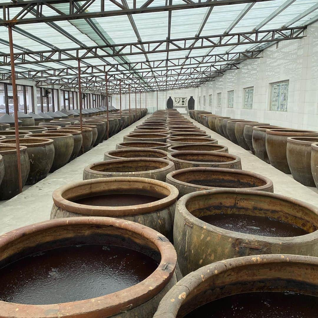 Symmetry Breakfastさんのインスタグラム写真 - (Symmetry BreakfastInstagram)「Fried eggs and toast, with handmade soy sauce from our weekend visit to Anchang 安昌 a suburb town of Shaoxing. We got to go behind the scenes at 仁昌 Renchang to see how they’ve been making soy sauce for 11 generations. The little cakes are made of rice, filled with red bean and flavoured with osmanthus with the left saying 安 and the right saying 昌 the name of the town. Full video is being developed for YouTube and coming soon, #itsnotacookingshow #symmetrybreakfast」10月26日 12時18分 - symmetrybreakfast