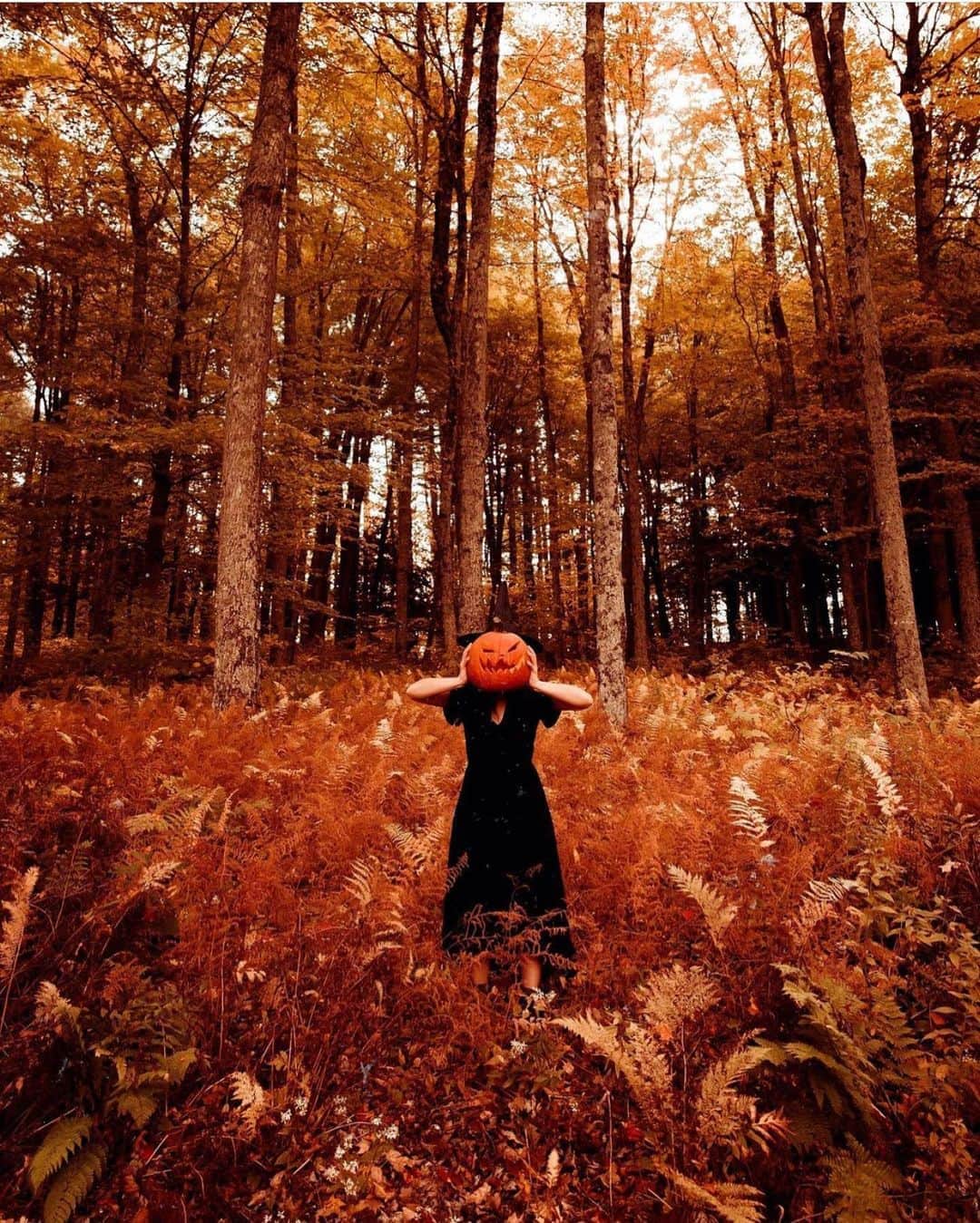 FOLKのインスタグラム：「Tag a friend that needs a spook or a smile. 🎃 photo by @jessolm」