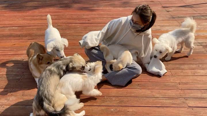 キム・ダヘのインスタグラム：「행복하네..?^^ 여러분 #유사천 도 많이 찾아주시고 봉사도 많이 와주세요 🐶 @yousachun1004 #사지마세요입양하세요」