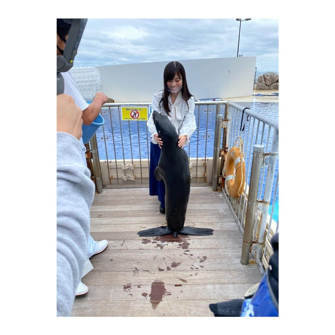 栗山梨奈さんのインスタグラム写真 - (栗山梨奈Instagram)「意外にも少し硬めのワンチャンみたいな毛質でした🐶  followｍe #follow #likeforlikes  #me #女子力向上委員会#オシャレさんと繋がりたい# #HKT48#hkt48#HKT#hkt#大分#うみたまご#みんなの九州#みんなの九州プロジェクト#オットセイ#水族館」10月26日 12時53分 - krn_hkt48