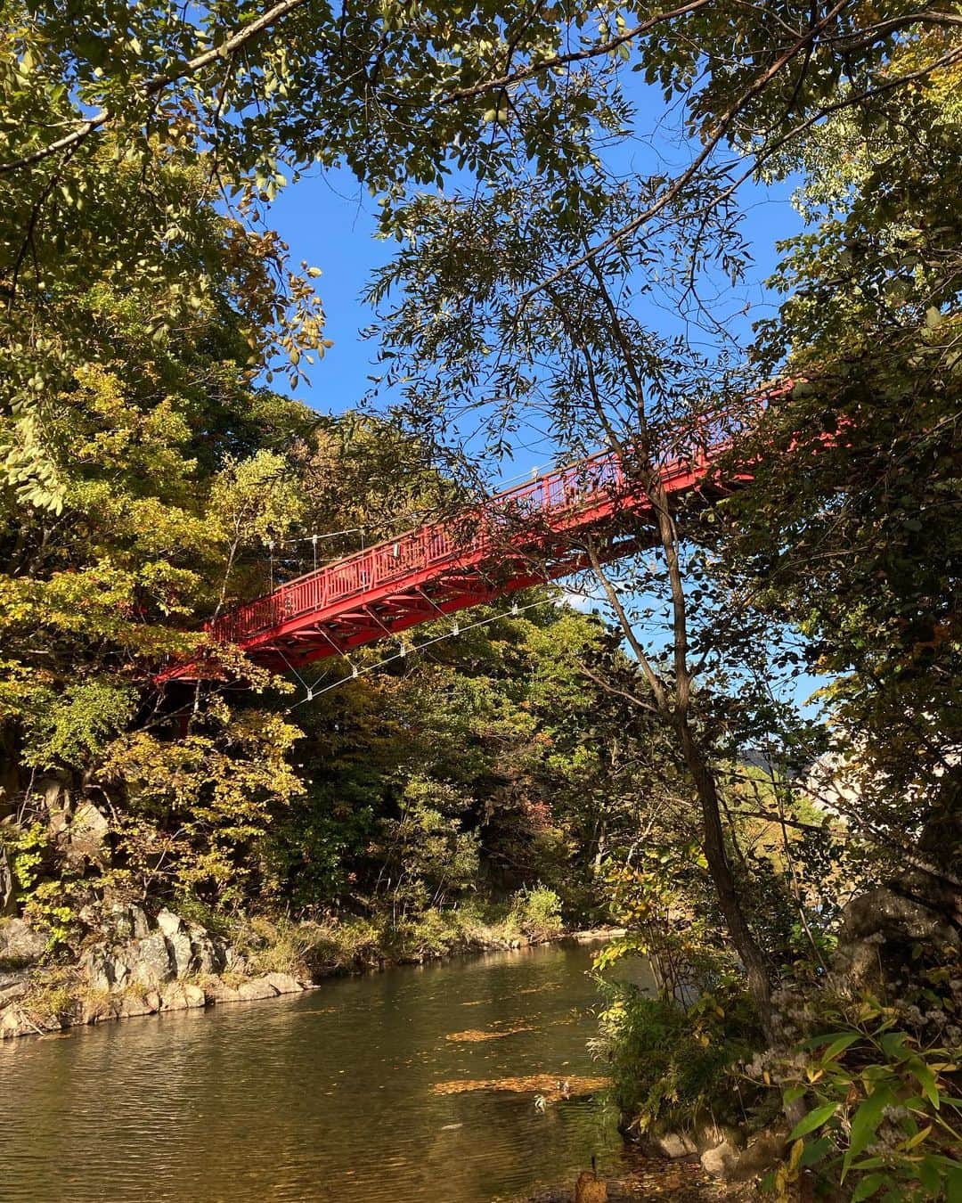 松永ちさとのインスタグラム：「弾丸北海道の旅🎶 目的のものは全部たべられたよ🤤 自然に癒され心も満たされた旅 宿のmaccarinaは最高でした⭐︎⭐︎ 北海道はなんでなんでも美味しんでしょう 1day🐟札幌☞定山渓🌿☞真狩🍷 2day🍇余市☞🍣小樽☞札幌🐏🍻 7.行った場所movie #真狩は次の投稿 #札幌#海鮮丼#士別BBQ #定山渓#見吊橋 #真狩#まっかり温泉 #宿#maccarina #余市#ワイナリー #小樽#寿司処旬 #chisatravel #松永ちさと」