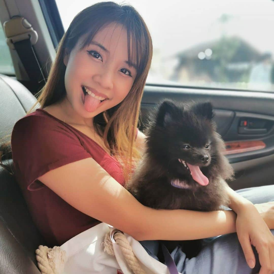 ビーム先生さんのインスタグラム写真 - (ビーム先生Instagram)「仲間❣หวัดเพื่อน !!! แฮ่กๆๆๆ  #influencer #blogger #youtuber #thai #thaigirl #japan #日本　#タイ　#インフルエンサー　#ブロガー　#ユーチューバー　#外国人　#訪日外国人　#タイ人　#タイ語　#บล็อกเกอร์ #ยูทูปเบอร์ #ไทย #ญี่ปุ่น #ภาษาญี่ปุ่น #หมา #犬 #わんちゃん #dog」10月26日 13時30分 - beamsensei