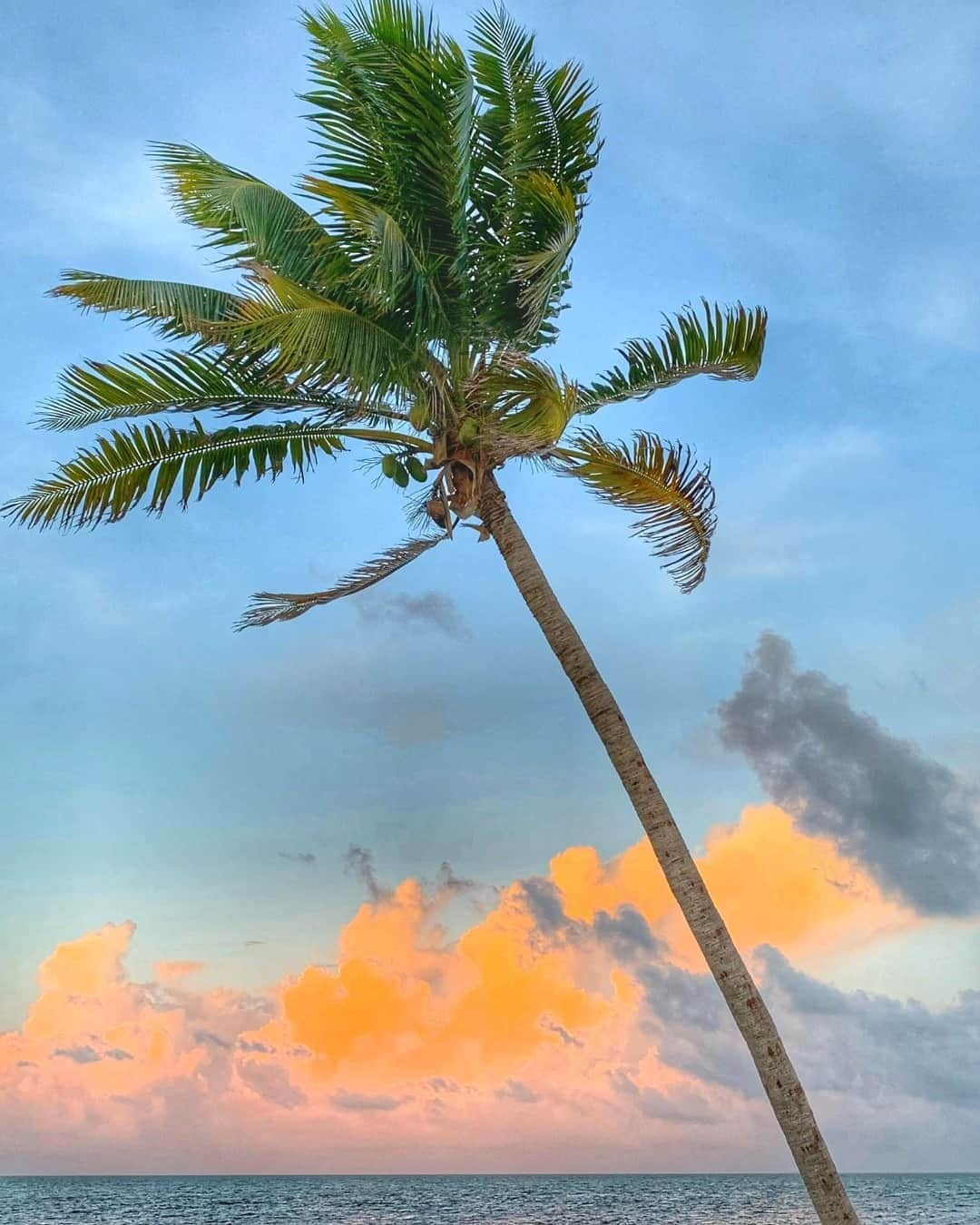 アメリカ内務省さんのインスタグラム写真 - (アメリカ内務省Instagram)「Not all the trees are changing color. With highs in the 80s expected to persist for quite a while, you won't think it's fall at #Florida Keys National Wildlife Refuges. With terrific fishing and the chance to see tiny key deer, we doubt you'll be disappointed with the blue water, green plants and white sand. But if you really need to see bright yellow and orange, the sunrises and sunsets could help you out. Enjoy! Photo by U.S. Fish and Wildlife Service (@USFWS). #FloridaKeys #usinterior」10月27日 0時38分 - usinterior