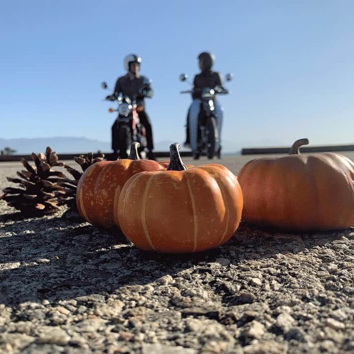 のインスタグラム：「Just a couple of miniMOTOs on their way to the pumpkin patch for #nationalpumpkinday. #supercub #monkey #betteronahonda」