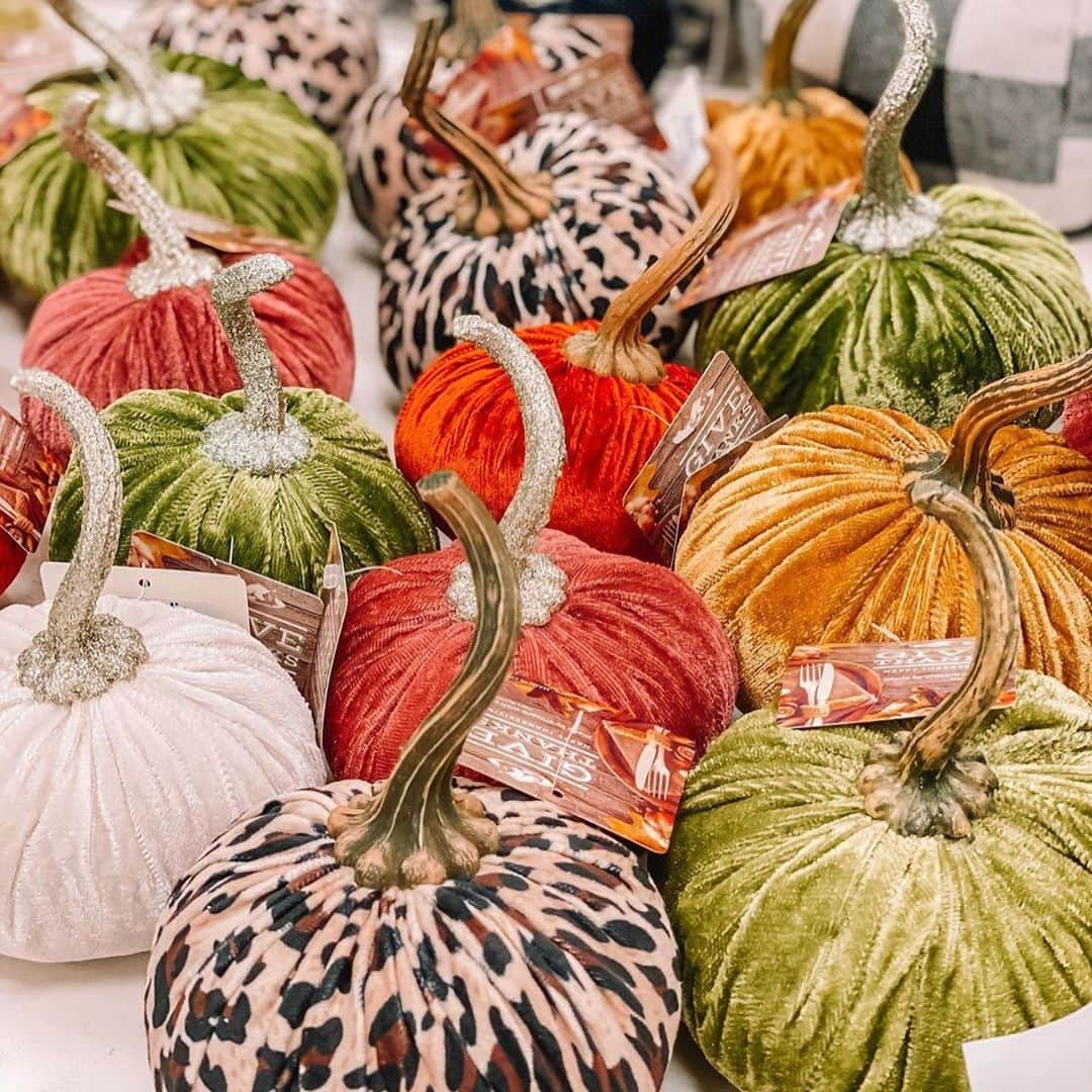 T.J.マックスのインスタグラム：「We’ll take pumpkins in all shapes, sizes & colors! Swipe to see some of our faves ➡️ #nationalpumpkinday (📷: @tjmaxxdout & @tarjaymaxx)」