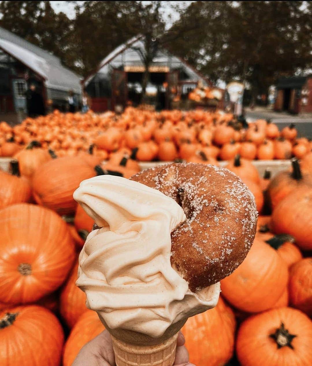 SHEINさんのインスタグラム写真 - (SHEINInstagram)「It's the season to eat, drink & be scary! Who would you go here with? 🎃 @onceuponthiswildflower」10月26日 23時18分 - sheinofficial