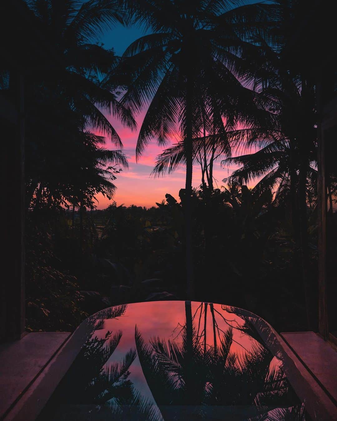 リリー＝ローズ・メロディのインスタグラム：「Vibrant jungle sunset @skaijoglo 🌴💥」