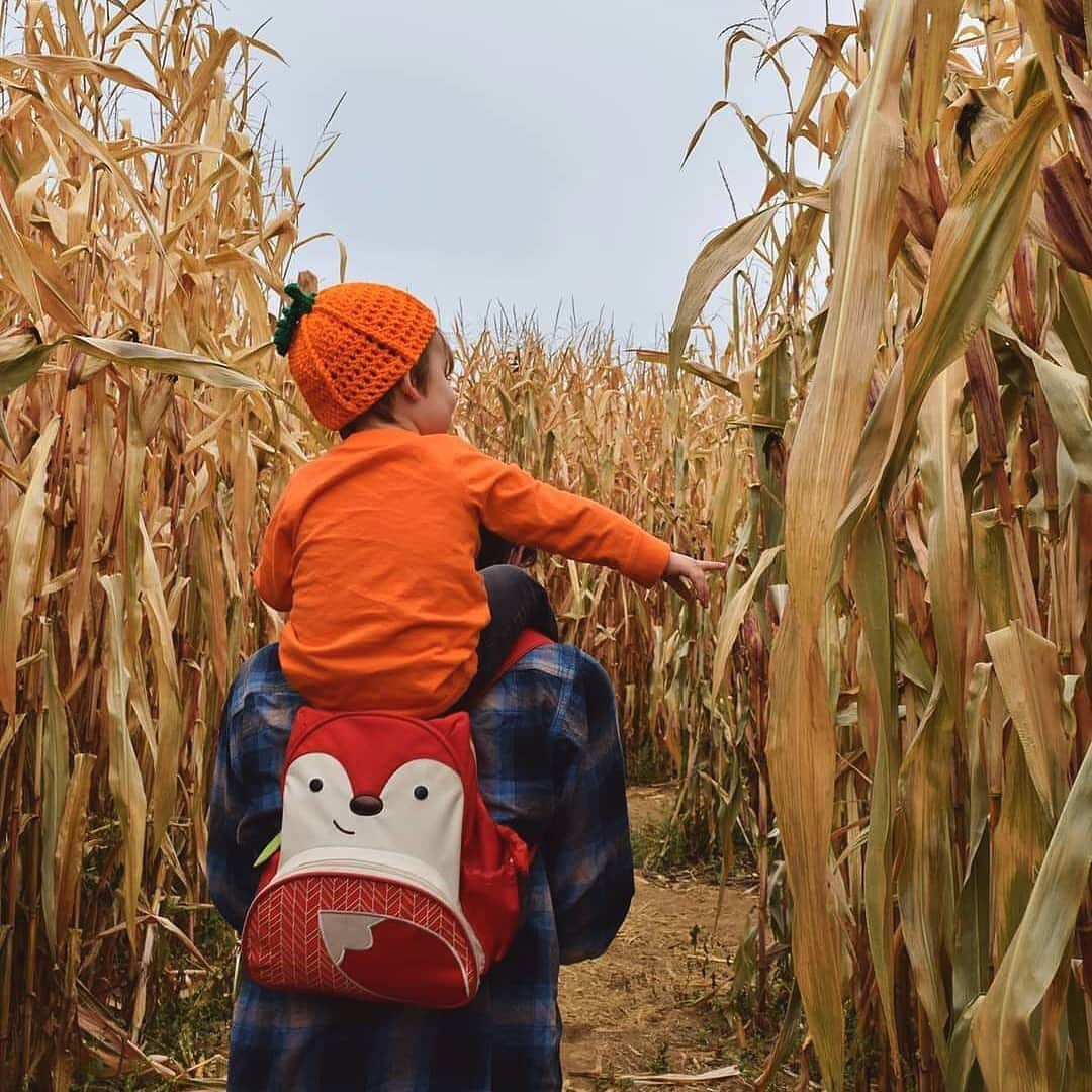 Skip Hopさんのインスタグラム写真 - (Skip HopInstagram)「Have you done any amaize-ing fall activites with your little pumpkins? 🌽🎃 📸: @killerpapercut66  #fallfun #cornmaze #pumpkinpatch #applepicking #skiphop」10月27日 0時03分 - skiphop