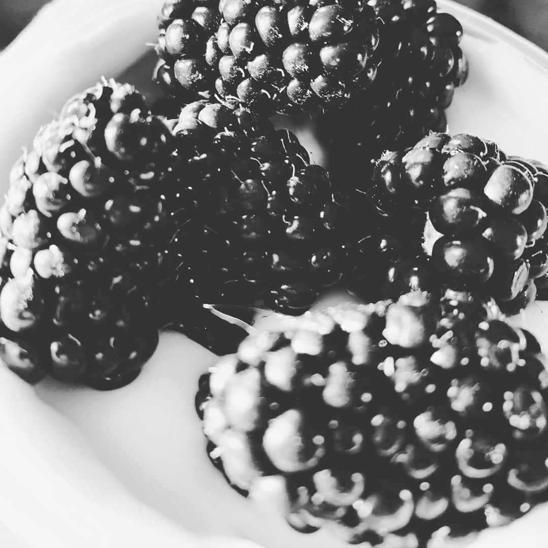 ボーイ・ジョージさんのインスタグラム写真 - (ボーイ・ジョージInstagram)「Blackcurrents, plain @yeovalley kefir with raw honey! A perfect late breakfast!! it’s morning somewhere! #fruit #breakfast #Food #plantbased #eat #eathealthy #veggie」10月27日 0時13分 - boygeorgeofficial
