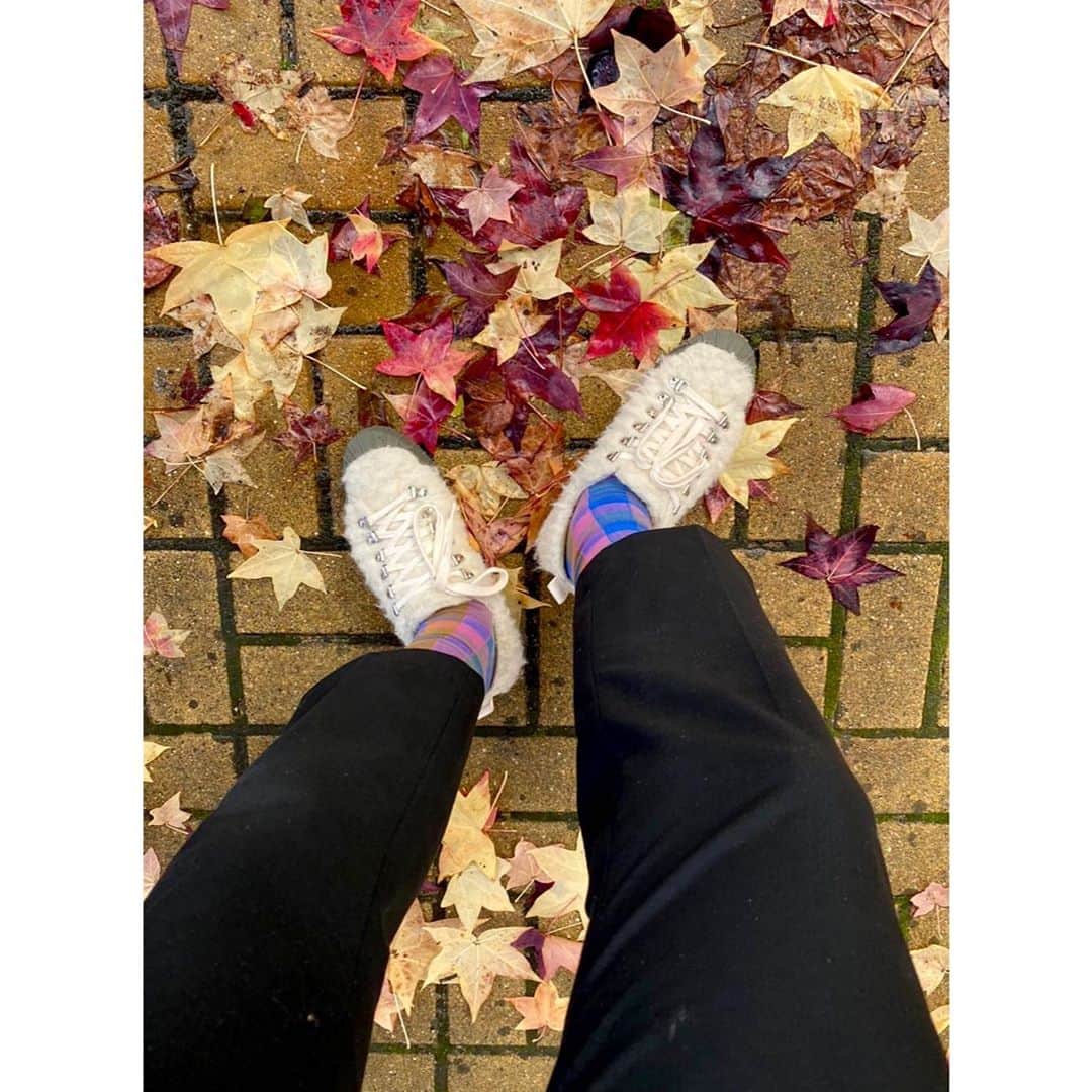 テーリポルキのインスタグラム：「Lovely Autumn colours 🍁🍂 . . #TERHIPÖLKKI #terhipölkkistore #finnishdesign #sustainable #footwear #shoes #sneakers #merinowool」