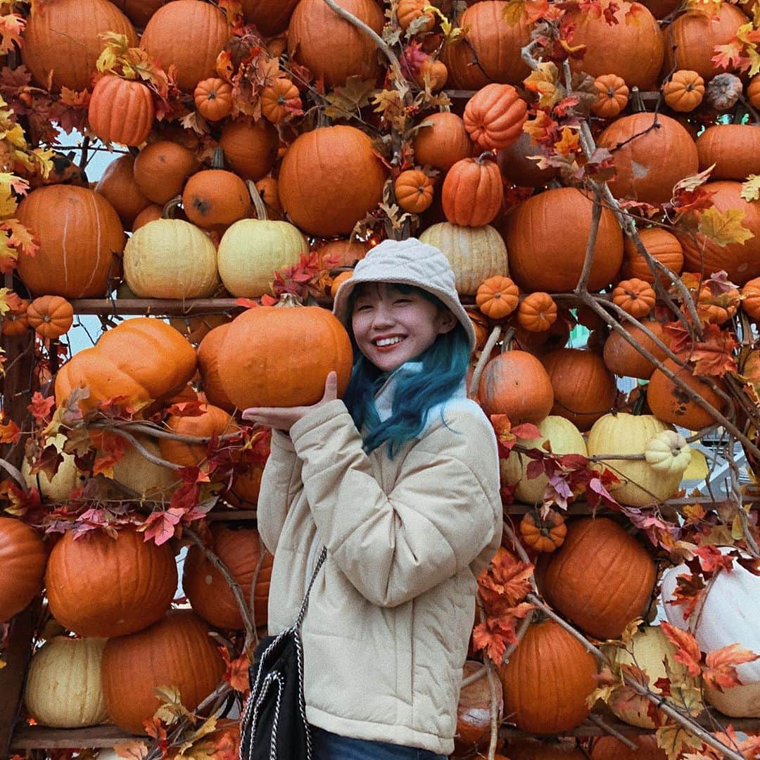 薮下柊さんのインスタグラム写真 - (薮下柊Instagram)「Halloween 🎃 の季節がやってきましたね! : あちらこちらにカボチャがいっぱいや〜😆✨ : It’s spooky season👻boo~ : #nyc #newyork #spookyseason #halloween #pumpkin #pier17  #october」10月26日 15時54分 - __yabushita_shu__