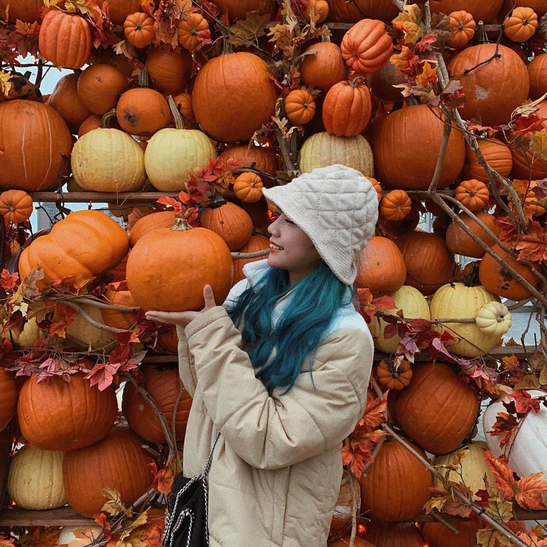 のインスタグラム：「Halloween 🎃 の季節がやってきましたね! : あちらこちらにカボチャがいっぱいや〜😆✨ : It’s spooky season👻boo~ : #nyc #newyork #spookyseason #halloween #pumpkin #pier17  #october」