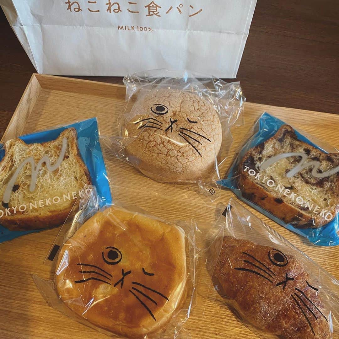 畑野ひろ子のインスタグラム：「いただいた#ねこねこ食パン 😻 可愛い❤️❤️❤️ 初めて食べます😆 クリームパンが、生クリーム&カスタードのダブルクリームで最高😍」