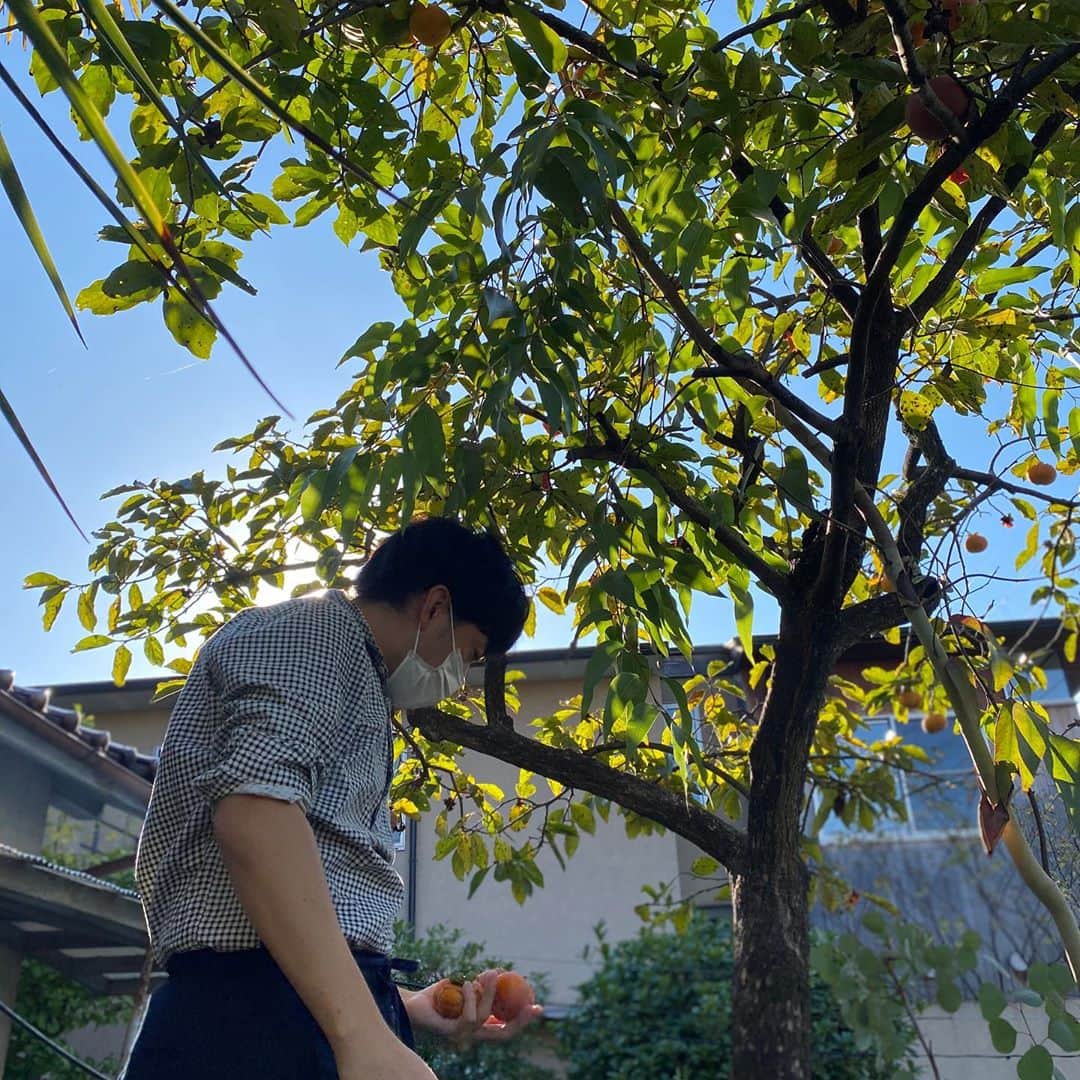 cafezakkagallery-flagさんのインスタグラム写真 - (cafezakkagallery-flagInstagram)「▪︎柿食えば▪︎ お庭に2年に１回実る柿。 今年は量が少なく「なんでやろ？？」となりつつも プルプル震える腕を我慢しつつ収穫しました。 そしてなぜ2年に１回しか実らないのだろう。。  #cafeFLAG #cafezakkagalleryflag  #大阪カフェ #大阪カフェ巡り #枚方カフェ #枚方クーポン券使えます」10月26日 16時01分 - flagcafe