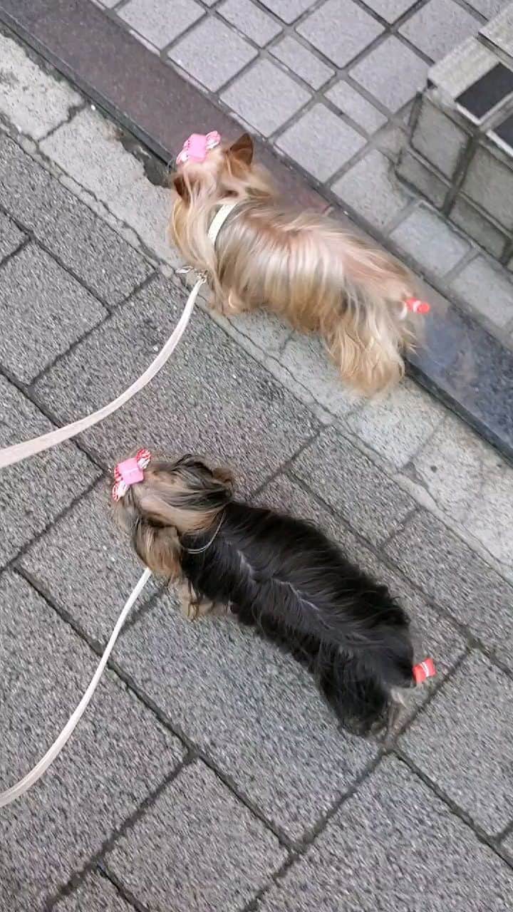 武東由美のインスタグラム