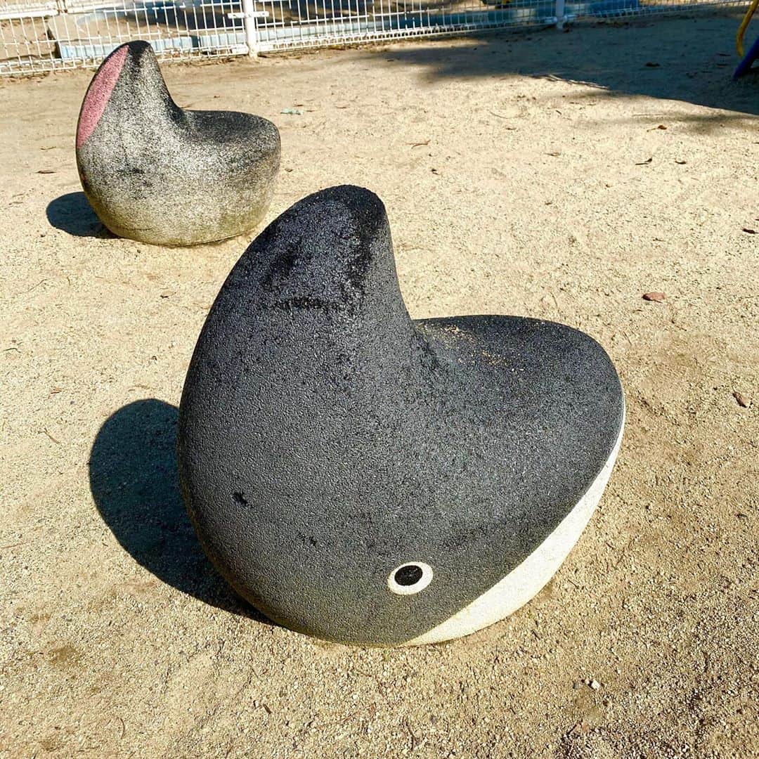 福島暢啓さんのインスタグラム写真 - (福島暢啓Instagram)「これ、モチーフはなんだろか。  サメ？クジラ？サイ？ ちなみに、奥にあるのは多分ウサギ。」10月26日 16時16分 - fukushimanobuhiro