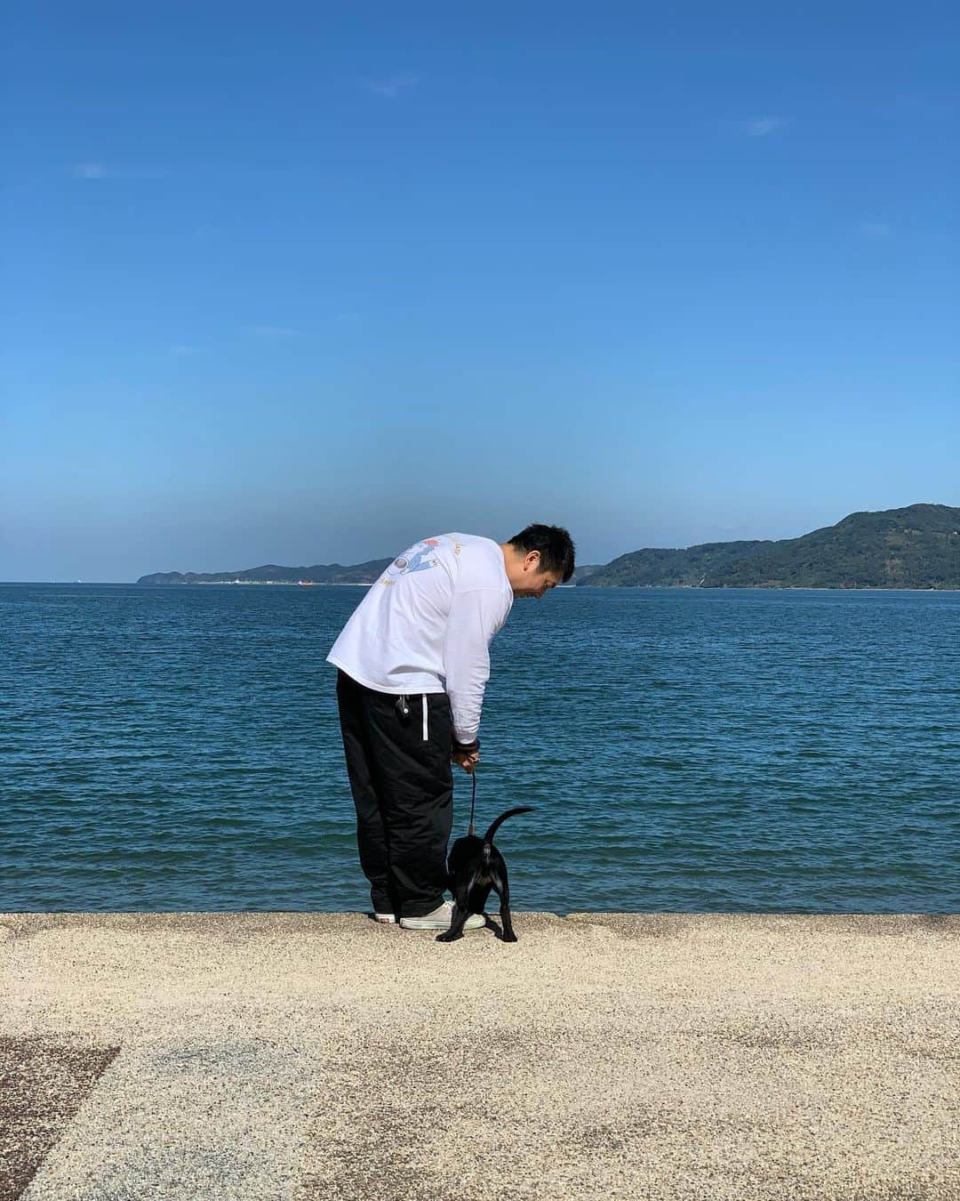 渡辺康啓のインスタグラム：「最高の秋晴れの日、ジーノお散歩デビューおめでとう。I will follow you.」