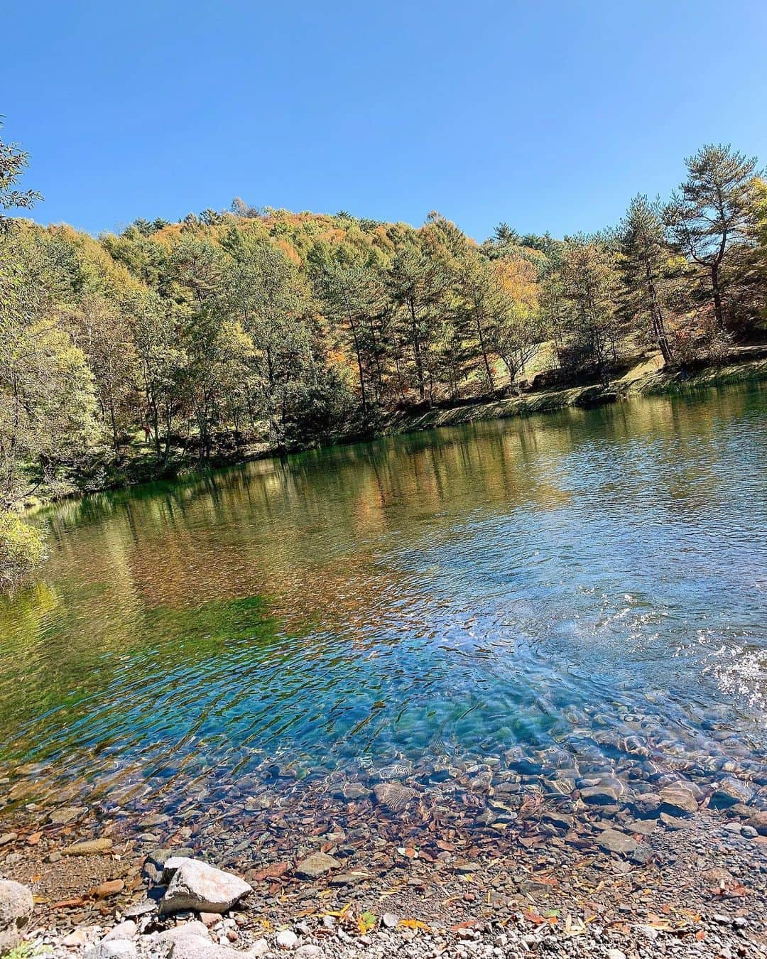 川島幸美さんのインスタグラム写真 - (川島幸美Instagram)「🍁🍁🍁」10月26日 16時56分 - yukimikawashima