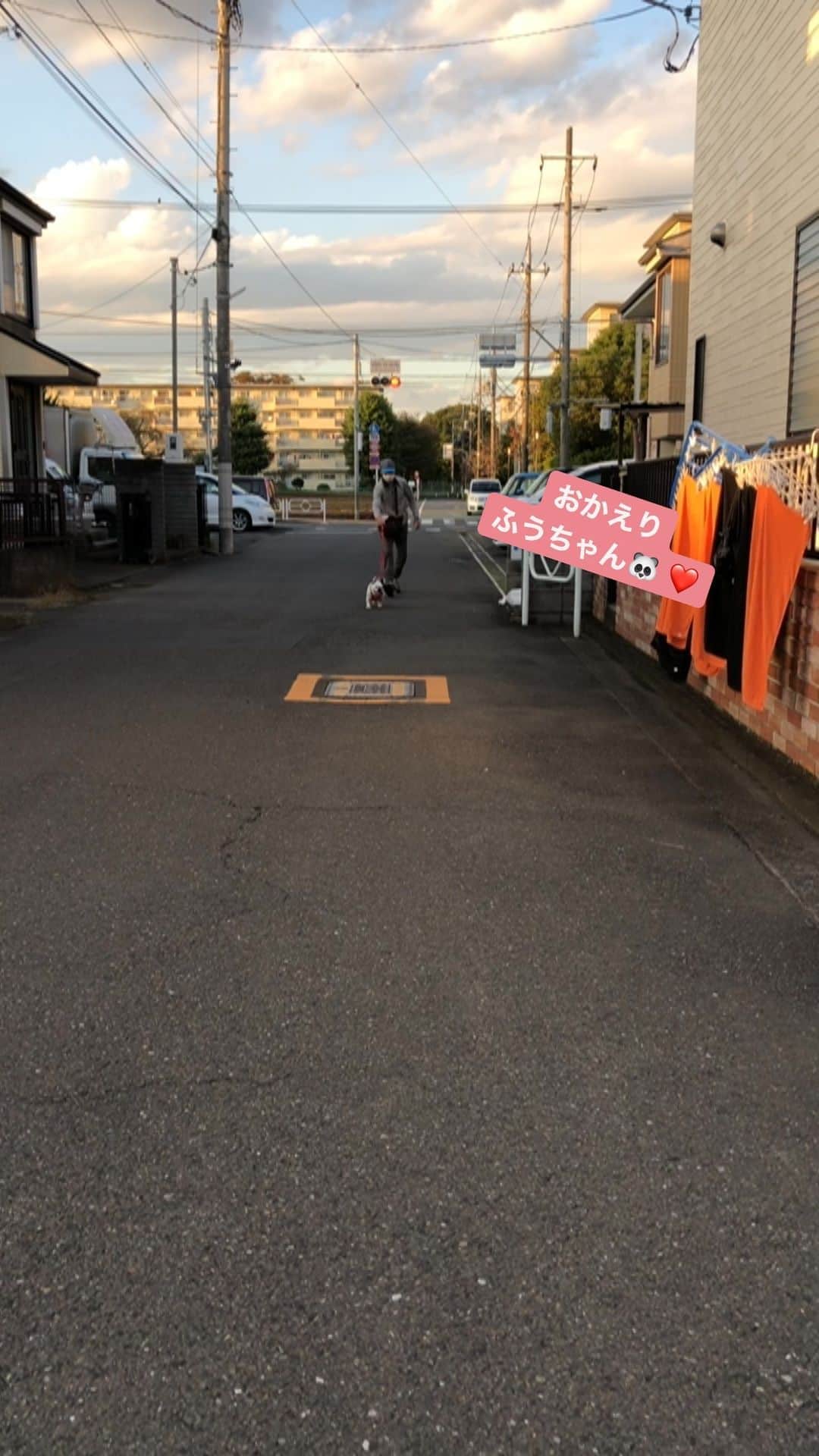 進藤やす子のインスタグラム