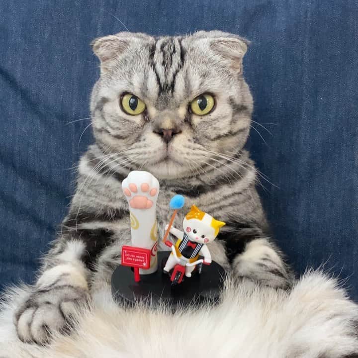 Shishi-maruのインスタグラム：「🐱ねこ手リップのCATISSさんから、ハロウィンキャンペーンのお知らせです。 ﻿動画のリップはいちご味。三毛猫がしているコスプレは、あるホラー映画です。 お分かりですか？ 「さあ、ゲームをしよう」  今回もちょこっとご協力させて頂きました🎃﻿ ﻿ 詳細はこちら↓﻿ ﻿ ﻿ ★「CATISSねこ手リップクリーム」﻿ ハロウィン限定👻恐怖フィギュア&リップクリームセットの抽選キャンペーン。﻿ ﻿ にゃんこは、ホラー映画のコスプレをしても可愛いですね。﻿ ﻿ •13日の金曜日_黒ねこのジェイソン(レギュラー /無香料) ﻿  •ソウ_三毛ねこのジグソウ(いちご) ﻿  •リング_牛柄ねこの貞子(バニラ) ﻿ ﻿ 抽選キャンペーンにご参加いただき、可愛いにゃんこを連れて帰りましょう。﻿ ﻿ 🎃参加方法﻿ ① catissのInstagram公式アカウント @catiss.jp の当キャンペーン投稿に「いいね」を押してください。 ﻿ ﻿ ② その投稿に「catiss恐怖フィギュアセットが欲しい」とコメントください。 ﻿ ﻿ ③ 10/28に抽選で3名の当選者を選出します。 ﻿ ﻿  •キャンペーン期間：10/23~10/27の23:59まで」