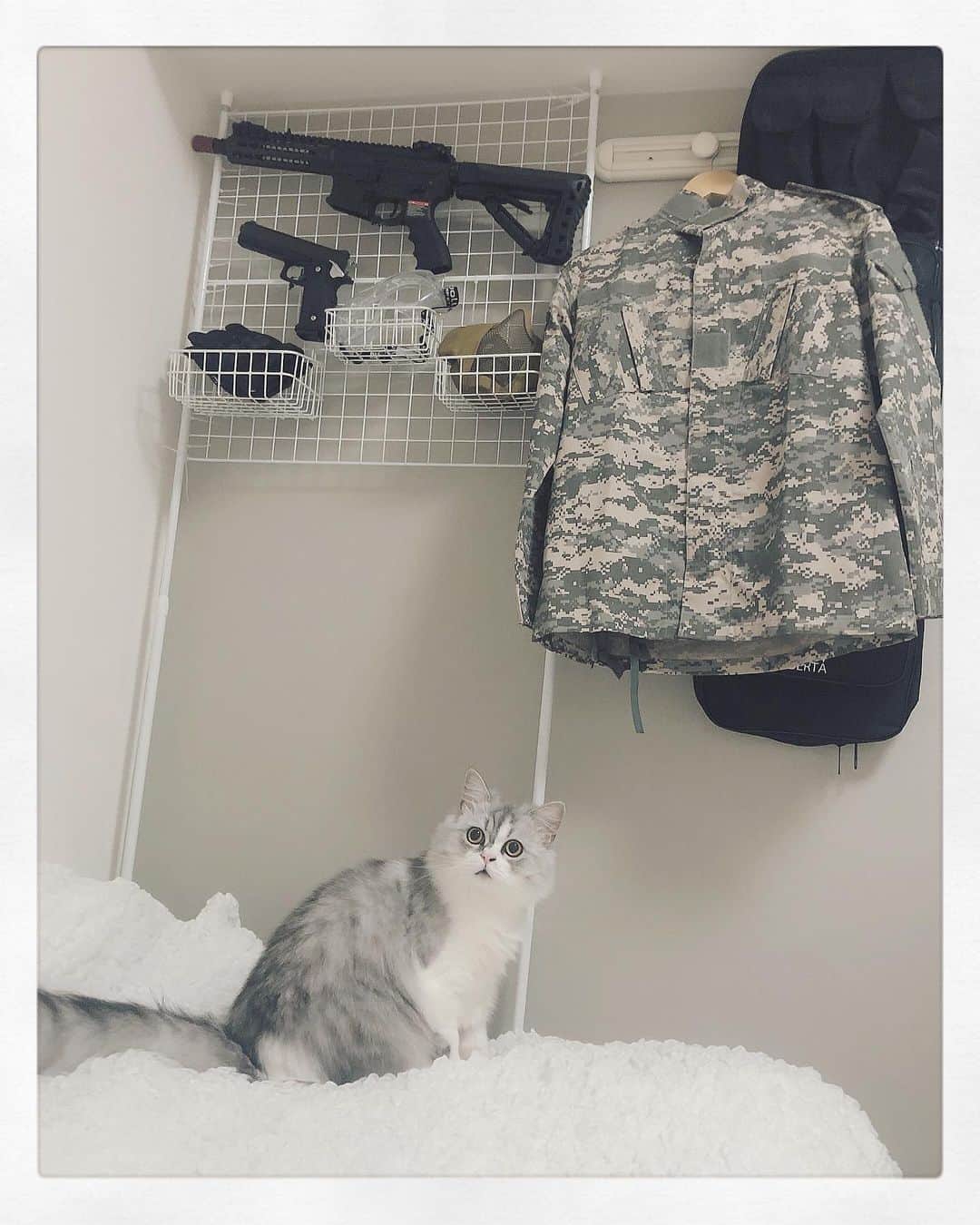 山田麻莉奈のインスタグラム