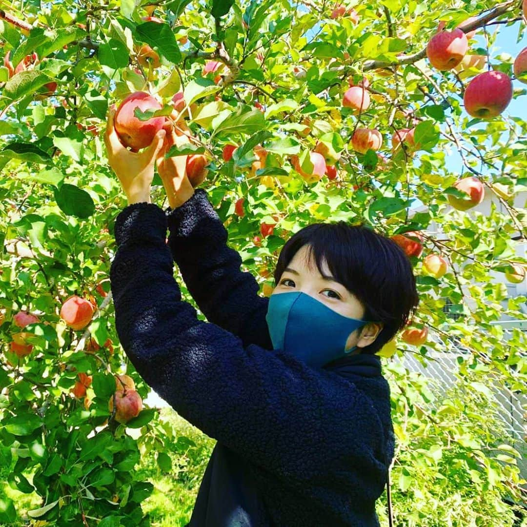 小平奈緒さんのインスタグラム写真 - (小平奈緒Instagram)「赤沼地区のやまだい農園さんに行ってきました🍎 昨年の台風災害で収穫間近で流されてしまったりんごは、再び土の養分となり、生まれ変わりのりんごになって、たくさん実ってくれていました✨ 赤沼、長沼地区に広がるりんご畑に、枝が耐えられないほどたくさんの赤い実がついた様子を見て「あぁ～、良かった」と思う反面、解体した家屋や流された当時のままの施設を見るとやはりまだ心は痛みます。  何がどれだけ力になれるか、後押しになれるか分かりませんが、私たちがりんごを食べて元気になるのと同じくらいのパワーをこちらからも送り続けたいと思います🔥  日頃からサポートいただいている方のもとへも、11月末頃美味しいりんごが赤沼から旅立つ予定です🙌(たくさん送り状書きました✏️😁)  今は、秋映(もうすぐ終わり)、シナノスイート、シナノゴールドが旬の時期だそうです🍏🍎 三代目園主の良孝さんに「まずは噛れやぁ」といただいたシナノスイートがとても美味しかったです😋🍎  #やまだい農園 #信州りんご発祥の里 #赤沼地区 #信州のりんご #信州産」10月26日 17時23分 - nao.kodaira