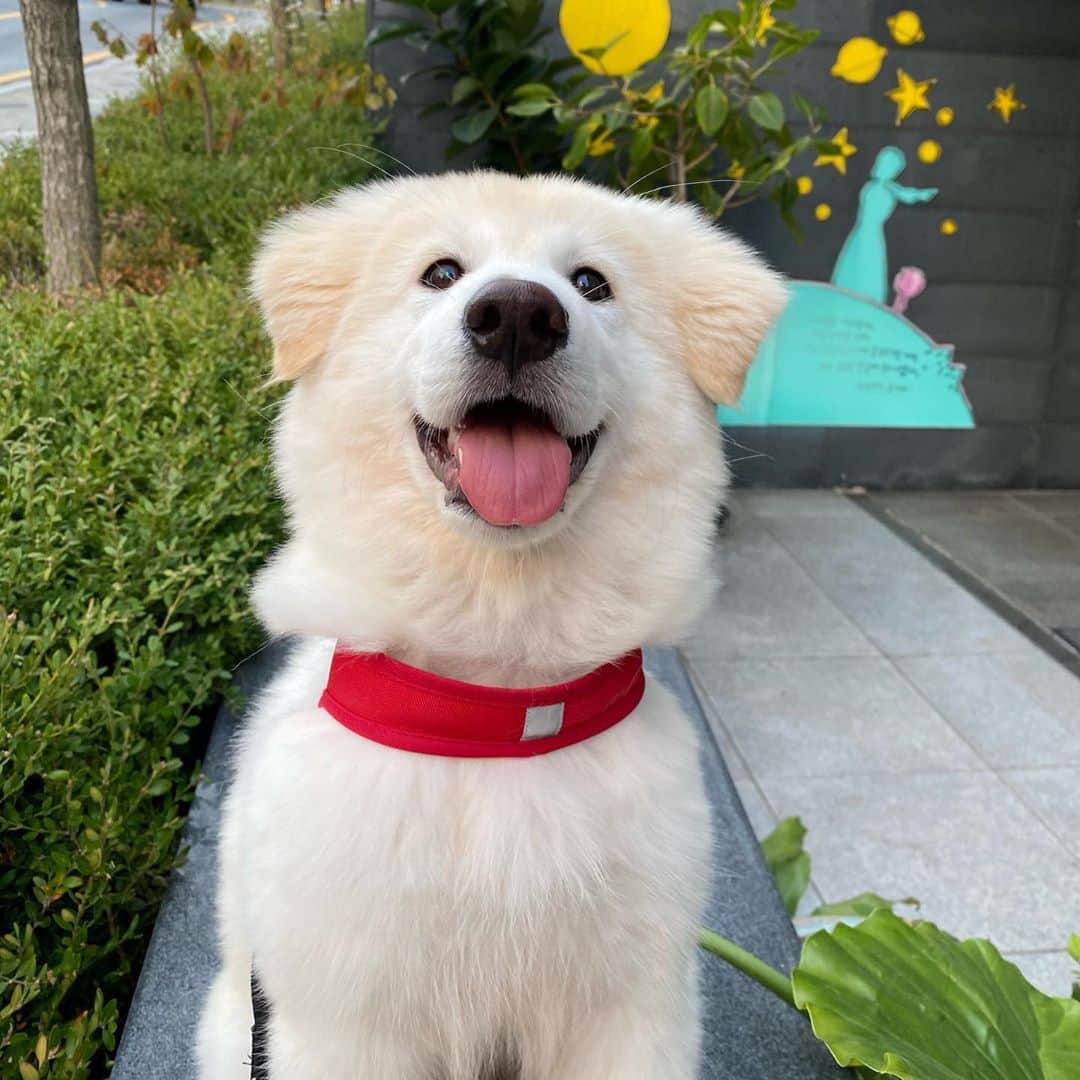 ハンビョル のインスタグラム：「♥️」