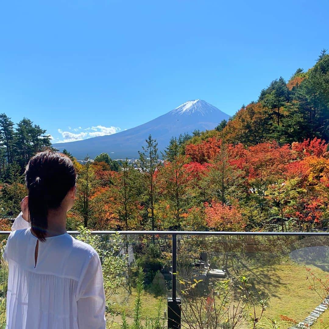 平川彩佳のインスタグラム：「. 昨年、芝桜とともに とても綺麗な富士山を見て、 こんなに綺麗な富士山、 一生見られないだろうなと思っていたのですが、 早くも1年半後に見られました。 . 昨年は芝桜のピンクとのコントラスト。(2枚目) 今年は紅葉のオレンジとのコントラスト。(1枚目) . 今回もこんな綺麗な富士山、 一生拝めないだろうなと思ったので 目に焼き付けてきました。 . 因みに綺麗すぎて絵に見えますが、 写真です。」
