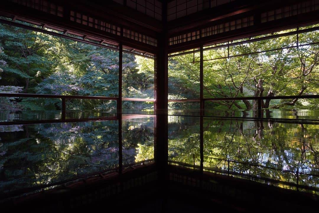 Hiashi Maeharaのインスタグラム：「京都」