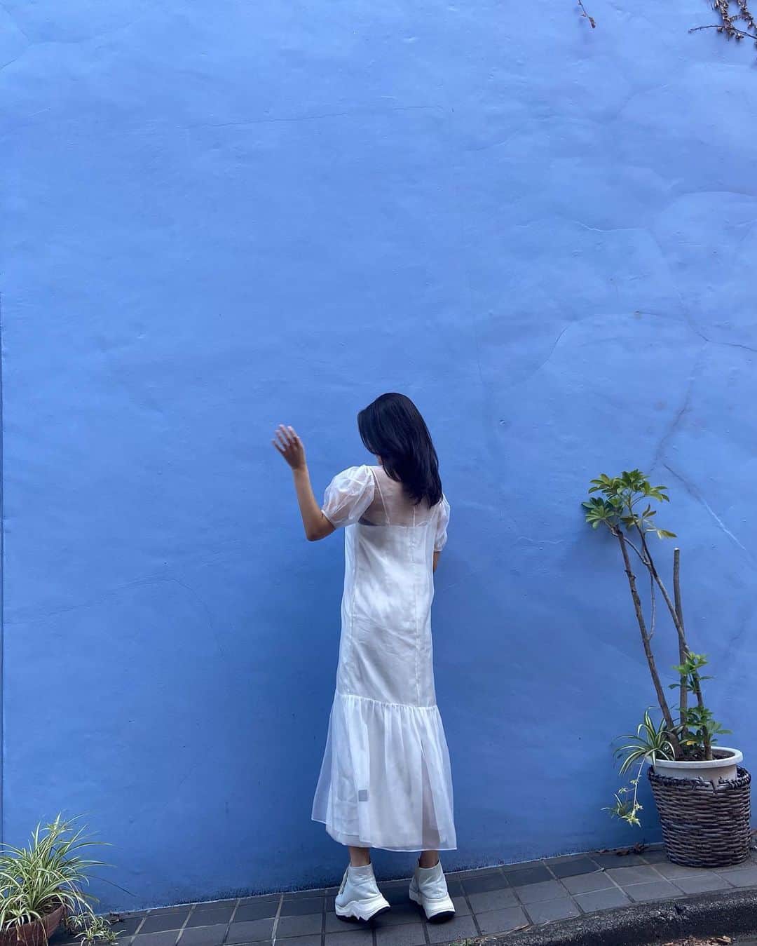 宮澤成良（宮沢セイラ）さんのインスタグラム写真 - (宮澤成良（宮沢セイラ）Instagram)「撮影の合間にお散歩♪ 親友にも会えてるんるん月曜日」10月26日 18時22分 - seira_miyazawa
