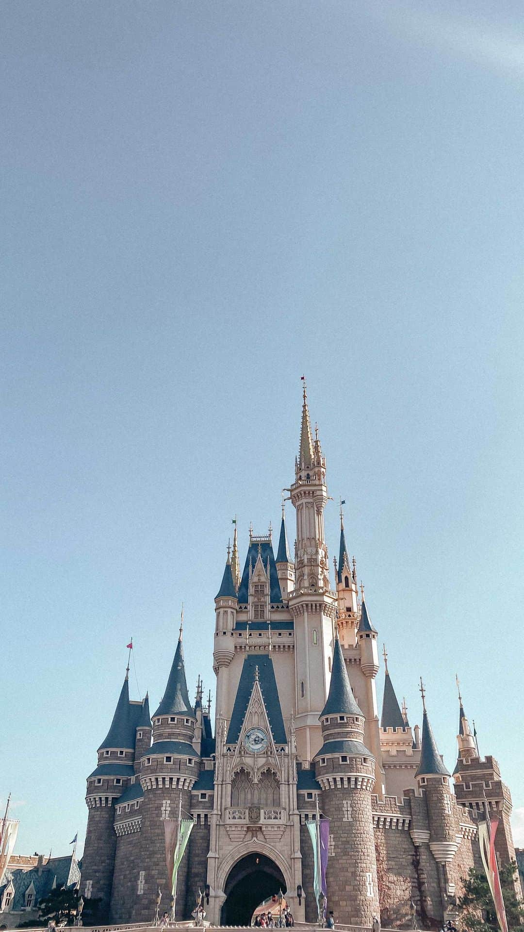Manamiのインスタグラム：「🏰🐭🦆🐆🦘🦌🐈  Disney versionお待たせしました🤣 待ってない？笑  #partyanimaldance @kai_prw @aiai0311 @mina__37__  @satoken5555  ㅤ ㅤ ㅤ #tokyo #disney #disneyland #tokyodisneyland #ディズニー #ディズニーランド #東京 #東京ディズニーランド #シンデレラ城 #ダンス #リール #dance #reels」