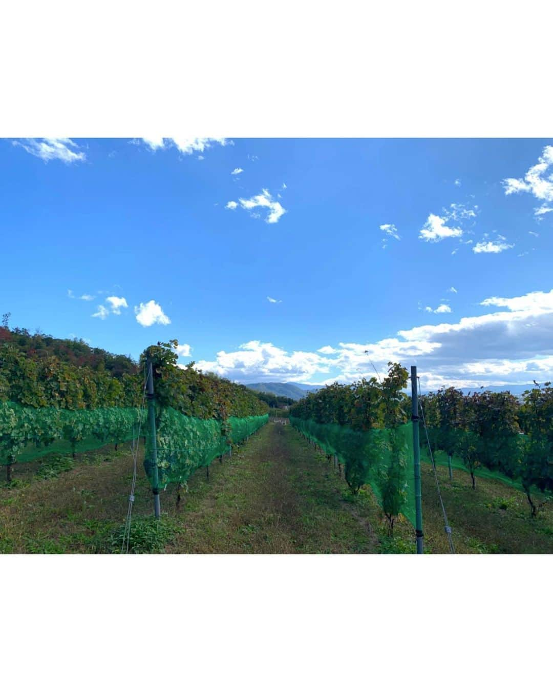 佐々木希さんのインスタグラム写真 - (佐々木希Instagram)「長野県へ旅🍁 長野に詳しい友人家族との旅行で、色々な景色を見る事が出来、長野の人の優しさにも触れ、本当に素敵な思い出になりました。 長野、また絶対に行きたいなぁ。  #長野県」10月26日 18時42分 - nozomisasaki_official