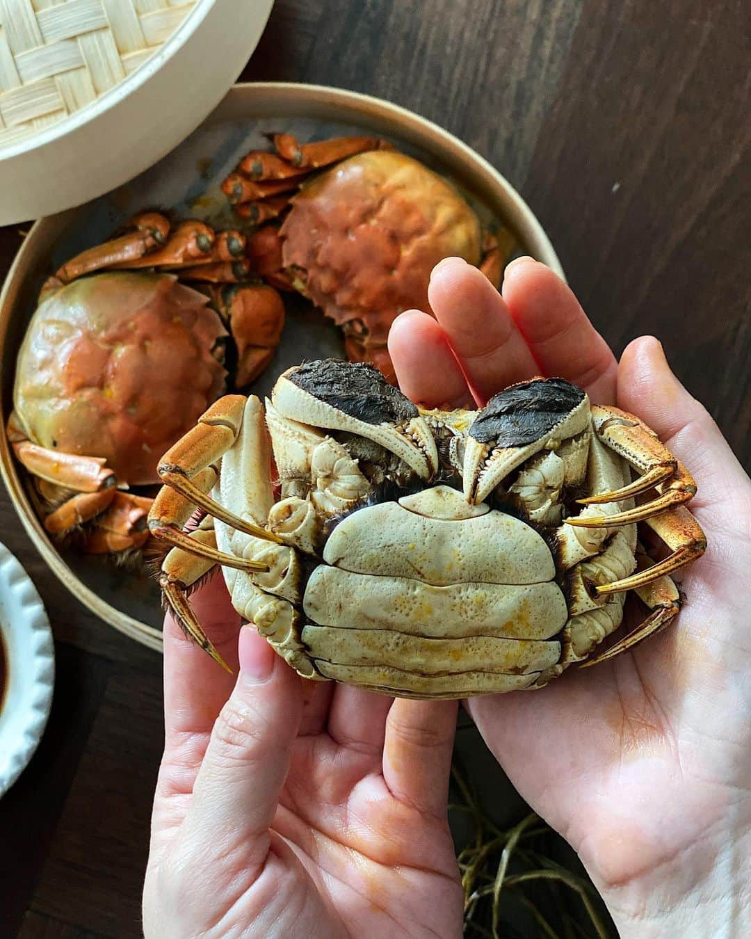 Samantha Leeさんのインスタグラム写真 - (Samantha LeeInstagram)「The months between September-November are the season for hairy crabs 大闸蟹. The hairy crabs earned its name for the distinctive brown “fur” on its claws. They are prized for their creamy roe and juicy meat. Females have deep orange creamy curd like roe, males have yellowish more liquidy roe. Because of its exquisite nature, the crabs are traditionally steamed with dried perilla leaves and sliced ginger and enjoy with vinegar and grated ginger 🤤! (Bought these hairy crabs from @oonee.my )」10月26日 18時52分 - leesamantha