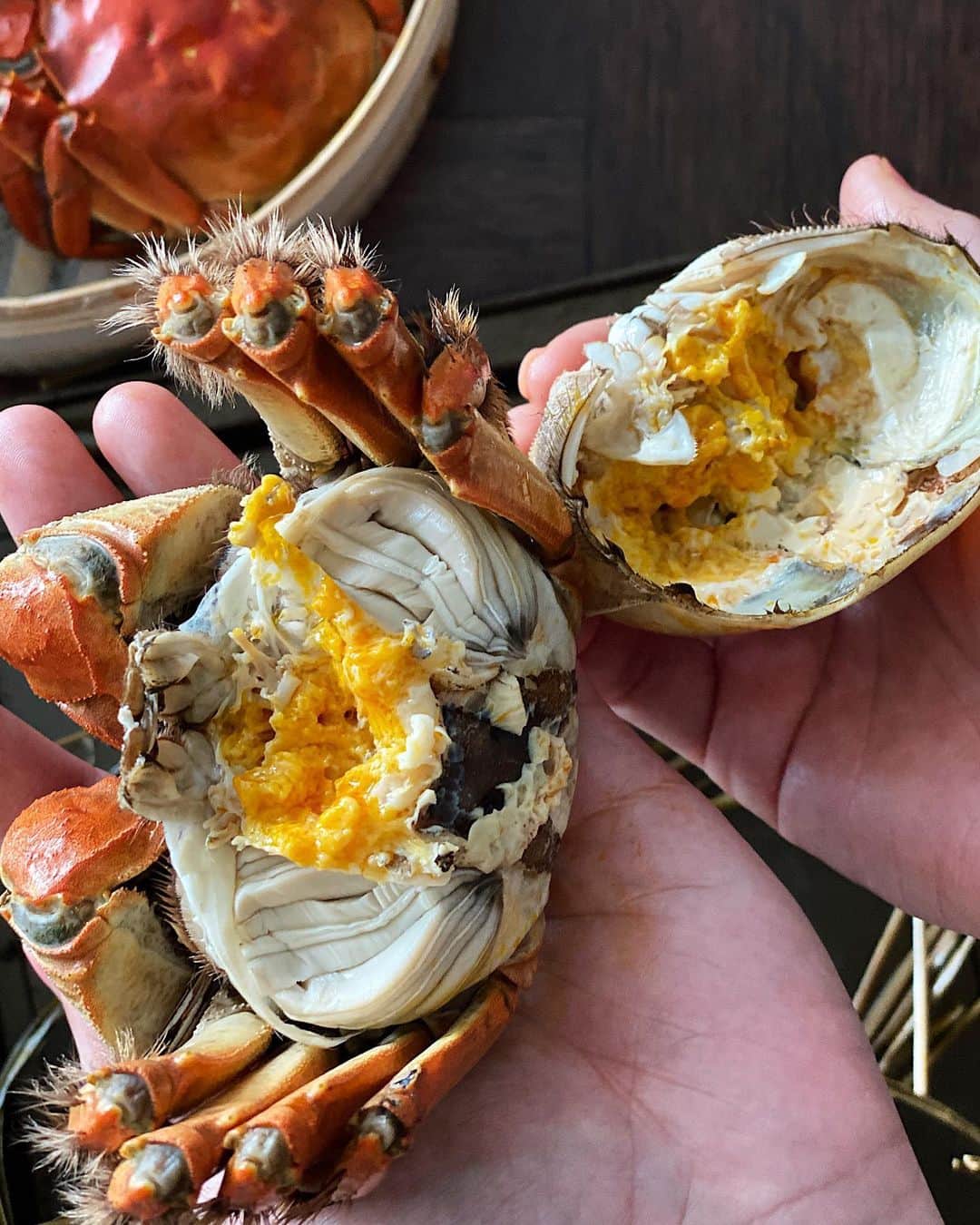 Samantha Leeさんのインスタグラム写真 - (Samantha LeeInstagram)「The months between September-November are the season for hairy crabs 大闸蟹. The hairy crabs earned its name for the distinctive brown “fur” on its claws. They are prized for their creamy roe and juicy meat. Females have deep orange creamy curd like roe, males have yellowish more liquidy roe. Because of its exquisite nature, the crabs are traditionally steamed with dried perilla leaves and sliced ginger and enjoy with vinegar and grated ginger 🤤! (Bought these hairy crabs from @oonee.my )」10月26日 18時52分 - leesamantha