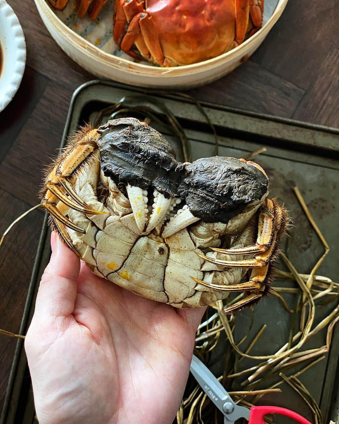 Samantha Leeさんのインスタグラム写真 - (Samantha LeeInstagram)「The months between September-November are the season for hairy crabs 大闸蟹. The hairy crabs earned its name for the distinctive brown “fur” on its claws. They are prized for their creamy roe and juicy meat. Females have deep orange creamy curd like roe, males have yellowish more liquidy roe. Because of its exquisite nature, the crabs are traditionally steamed with dried perilla leaves and sliced ginger and enjoy with vinegar and grated ginger 🤤! (Bought these hairy crabs from @oonee.my )」10月26日 18時52分 - leesamantha