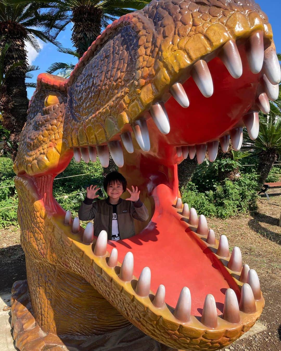 Toy Kids★トイキッズのインスタグラム：「伊豆～！！楽しかった♡♡ 旅館に鯉がいっっっっぱい⸜(*ˊᵕˋ*)⸝‬ #トイキッズ #toyskids #レオスマイル #おでかけ #伊豆 #恐竜 #dinosaur #旅行 #旅館 #子供 #こども #キッズ #kids #6歳 #レオくん」